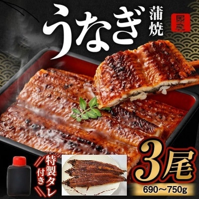 【発送月固定定期便】【はんなん旨いもん】定期便(鯛めし・うなぎ蒲焼・たこ飯・かにしゃぶ)【4】全4回