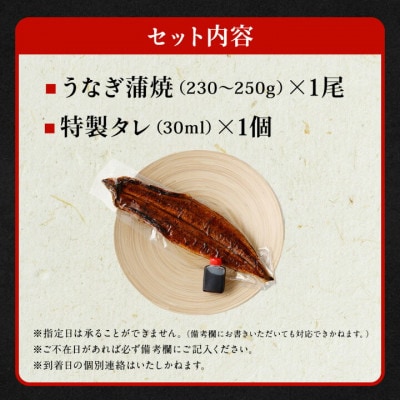 【毎月定期便】「国産うなぎ蒲焼」1尾(230g～250g)と特製タレ1個セット全3回
