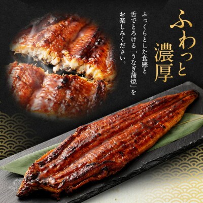 【毎月定期便】「国産うなぎ蒲焼」2尾(230g～250g)と特製タレ2個セット全3回