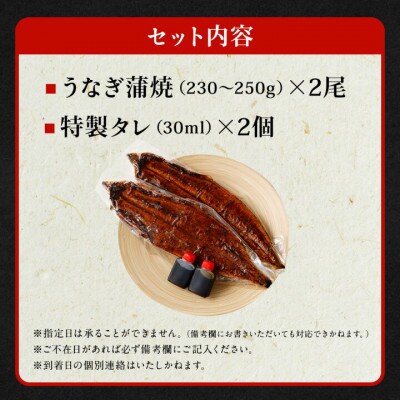 【毎月定期便】「国産うなぎ蒲焼」2尾(230g～250g)と特製タレ2個セット全3回