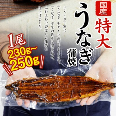 【毎月定期便】「国産うなぎ蒲焼」4尾(920g～1kg)と特製タレ4個セット全3回