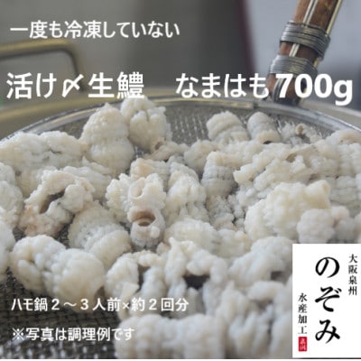 鮮度抜群!漁師直送を活〆した人気の生ハモ冷蔵品　700g!鍋、鱧すき、湯引き、天ぷらにお勧め