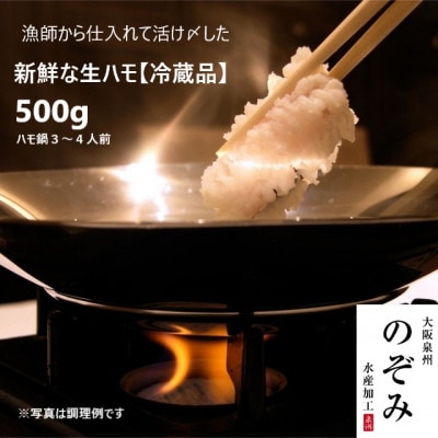 鮮度抜群!漁師直送を活〆した人気の生ハモ冷蔵品　使い易い500g!鍋、鱧すき、湯引き、天ぷらにお勧め