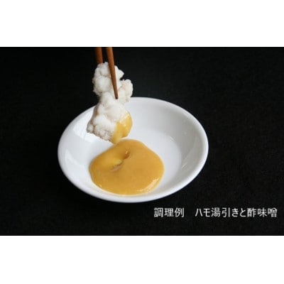 鮮度抜群!漁師直送を活〆した人気の生ハモ冷蔵品　使い易い500g!鍋、鱧すき、湯引き、天ぷらにお勧め