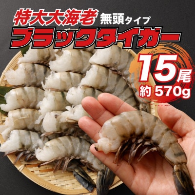 特大 ブラックタイガー 無頭えび 15尾570g前後