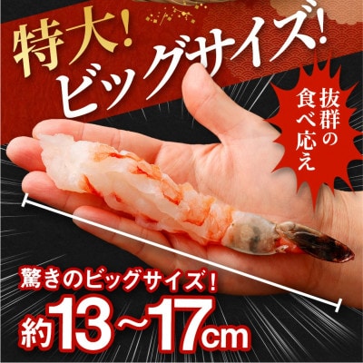 特大ブラックタイガー 殻なしビッグサイズ(10匹)