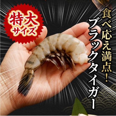 特大 ブラックタイガー 無頭えび 15尾×3セット1.7kg前後