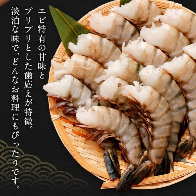 特大 ブラックタイガー 無頭えび 15尾×3セット1.7kg前後
