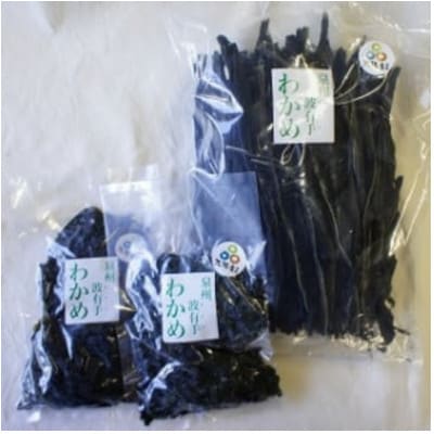 【塩蔵わかめ500g/乾燥わかめ200g】漁師が水揚げした新鮮国産わかめセット