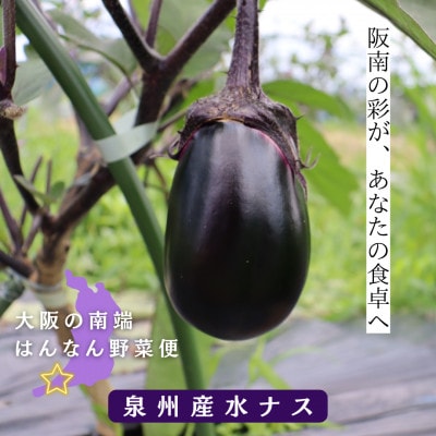【みのうらさんち】はんなん野菜便〜泉州水なす〜