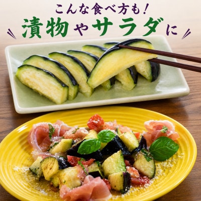 【産地直送】みずみずしい旬の味!朝採れ泉州水なす7～9本