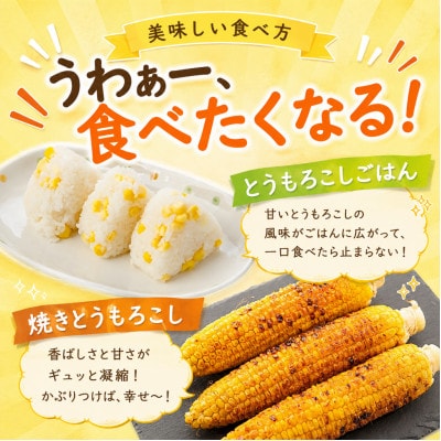 【6月初旬～順次発送】【フルーツのような甘み】朝採れゴールドラッシュスイートコーン10~12本