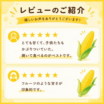 【6月初旬～順次発送】【フルーツのような甘み】朝採れゴールドラッシュスイートコーン10~12本