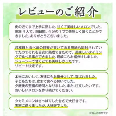 【6月初旬～順次発送】【フルーツのような甘み】朝採れゴールドラッシュスイートコーン10~12本