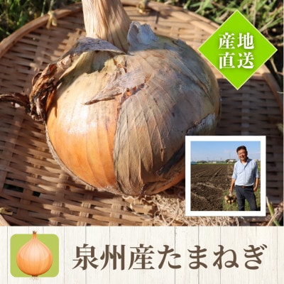 【はたなかさんち】はんなん野菜便〜泉州たまねぎ&じゃがいも～