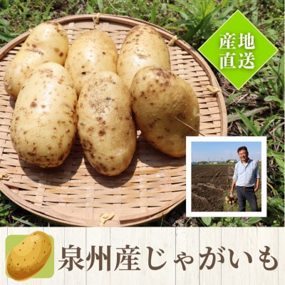 【はたなかさんち】はんなん野菜便〜泉州たまねぎ&じゃがいも～