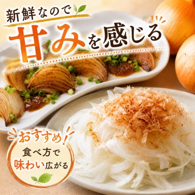 【味にこだわった新玉ねぎ】はたなかさんちの泉州玉ねぎ4.5Kg≪2026年7月上旬から順次発送≫