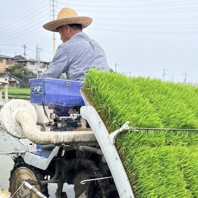 令和8年産 にこまる精米 5kg