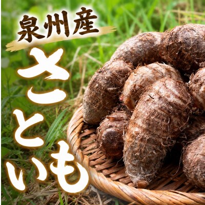 はんなん野菜便～泉州産さといも～