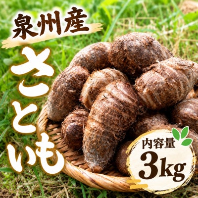 はんなん野菜便～泉州産さといも～