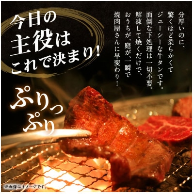 極厚の厚切りタン 塩だれ味・レモンペッパー味 1kg(各500g×1パック)