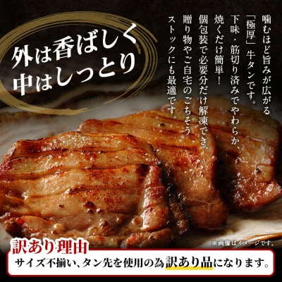 【訳あり】極厚牛タンステーキ レモンペッパー味・バジルソテー味 1kg(各500g×1パック)