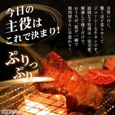 極厚の厚切りタン ニンニク醤油味・ムニエル味 1kg(各500g×1パック)