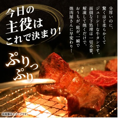 極厚の厚切りタン ガーリックペッパー味・レモンペッパー味 1kg(各500g×1パック)