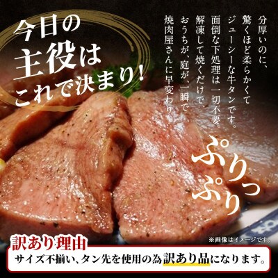 【訳あり】極厚の厚切りタン ガーリックペッパー味・バジルソテー味 1kg(各500g×1パック)