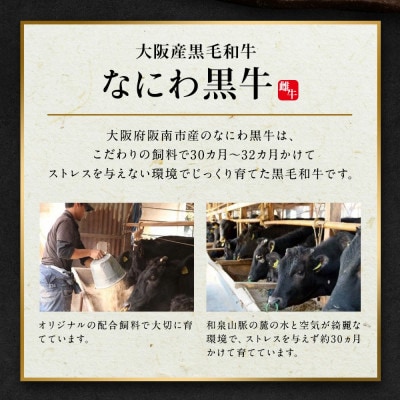 大阪産 なにわ黒牛 黒毛和牛 内ハラミ 焼肉用 各100g×4パック 計400g