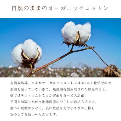 敷きパッド 無添加 無漂白 オーガニックコットン フランネル シングルサイズ オールシーズン