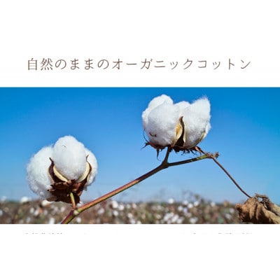 敷きパッド 無添加 無漂白 オーガニックコットン フランネル セミダブルサイズ オールシーズン