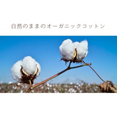 敷きパッド 無添加 無漂白 オーガニックコットン フランネル ダブルサイズ オールシーズン