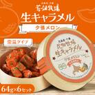 花畑牧場 生キャラメル 夕張メロン(常温)64g×6セット