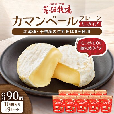 カマンベールプレーン ～ミニタイプ～ 10個入り×9セット 合計90個