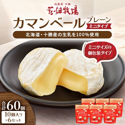 カマンベールプレーン ～ミニタイプ～ 10個入り×6セット 合計60個