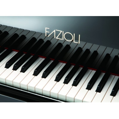 グランドピアノ「FAZIOLI (ファツィオリ)」6時間利用券+コテージ・1泊2日宿泊券