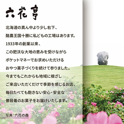 六花亭 六花セレクションA 4セット(1セット:マルセイバターサンド5個+マルセイバターケーキ5個)