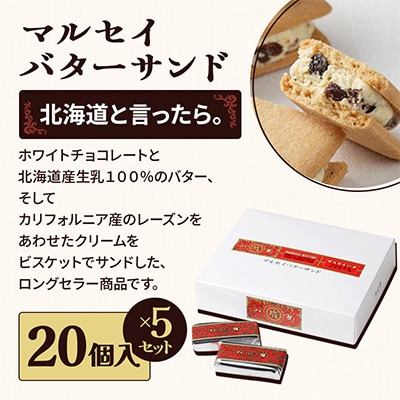 六花亭六花セレクションC 5セット(1セット:マルセイバターサンド20個+マルセイバターケーキ5個)