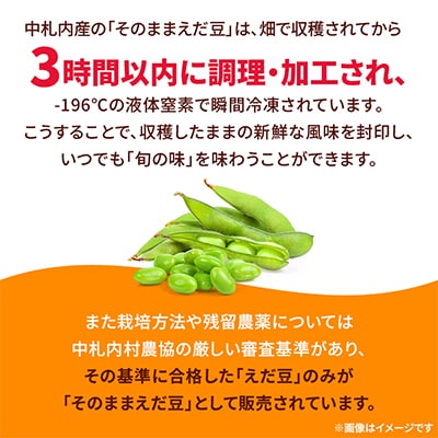 ふっくら甘い枝豆 食べ比べ2種 300g×各3袋[AK1-1]