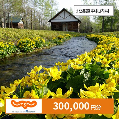 【じゃらんふるさと納税クーポン】 北海道中札内村でつかえる300,000円 クーポン
