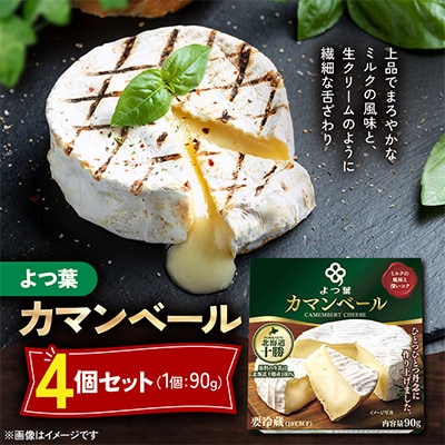 【毎月定期便】よつ葉北海道十勝 カマンベールチーズ 90g×4個セット全2回