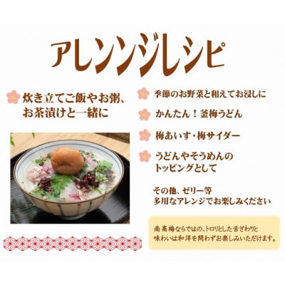 紀州南高梅はちみつ極塩分約6%(500g)