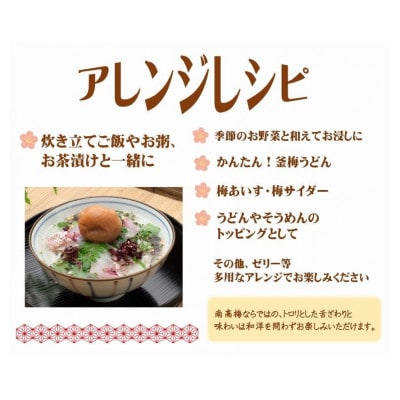 紀州南高梅うす塩つぶれ700g