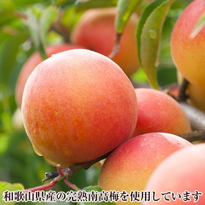 【3ヵ月毎定期便】紀州南高梅プレミアム塩分約3%全3回