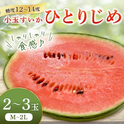 小玉すいか ≪ひとりじめ≫ 2～3玉