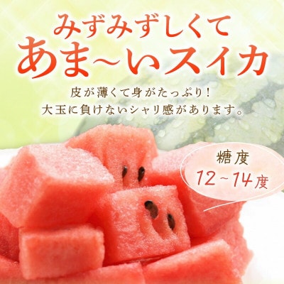 小玉すいか ≪ひとりじめ≫ 2～3玉