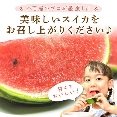 小玉すいか ≪ひとりじめ≫ 2～3玉