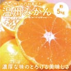 『濃厚な味のとろける美味しさ』 温州みかん 約5kg 和歌山産