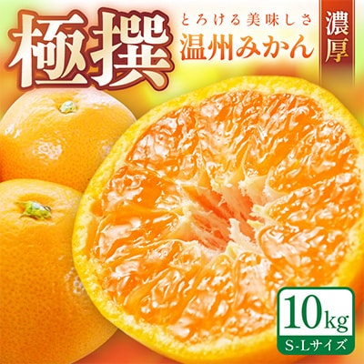 『濃厚な味のとろける美味しさ』 温州みかん 約10kg 和歌山産